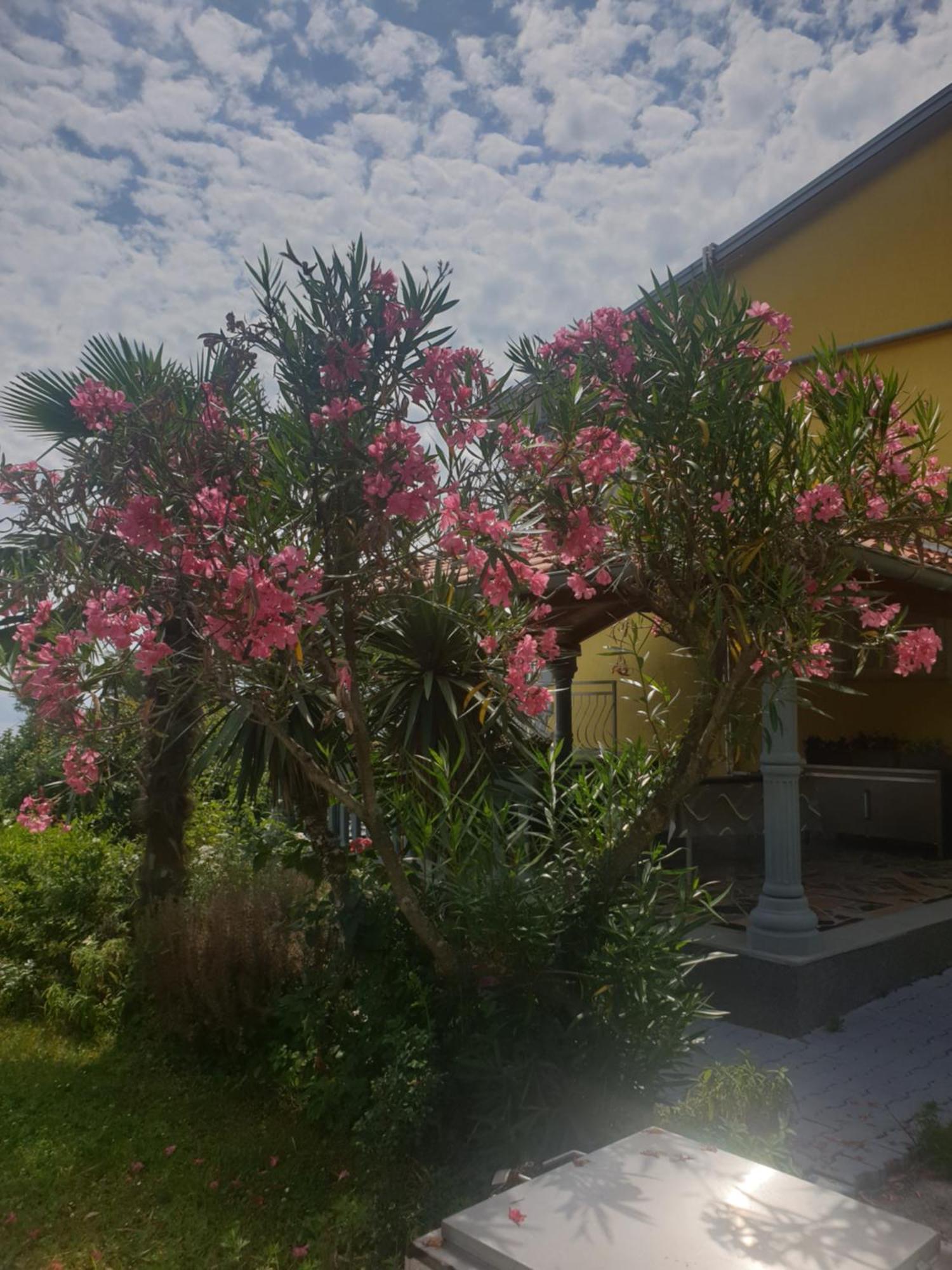 Apartmani Adria Opatija Exterior photo